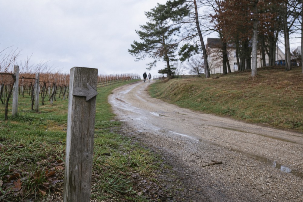 A wooden sign pointing to a winery entrance