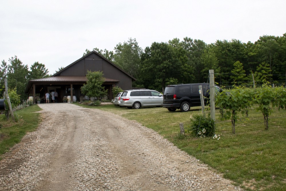 Gravel driveway leading to a barn-style winery tasting room among vines