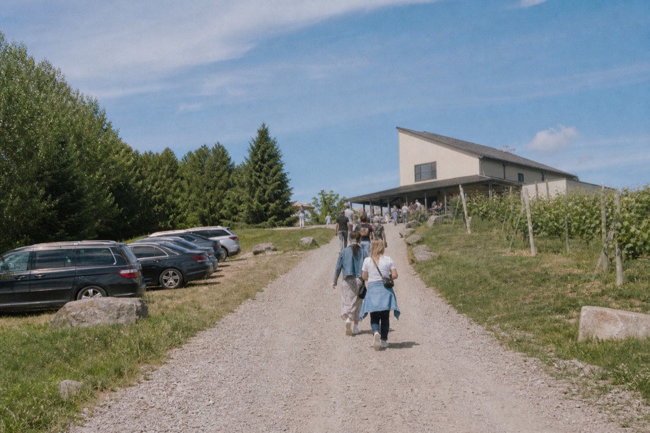 Casually dressed visitors walking a gravel path toward a vineyard tasting room