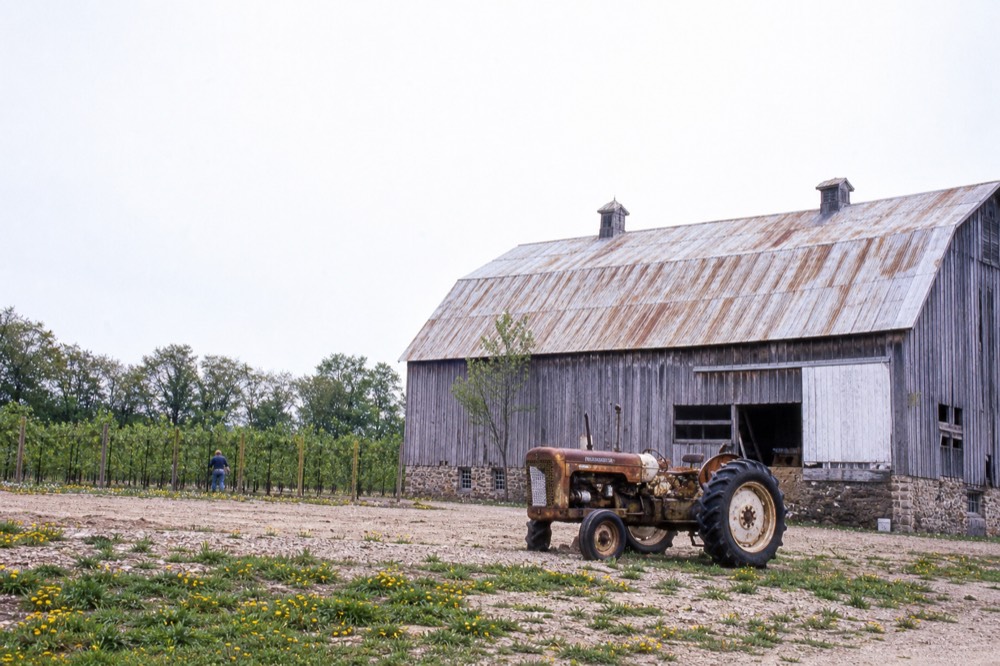 Old barn and vineyard on Old Mission Peninsula under a wide sky