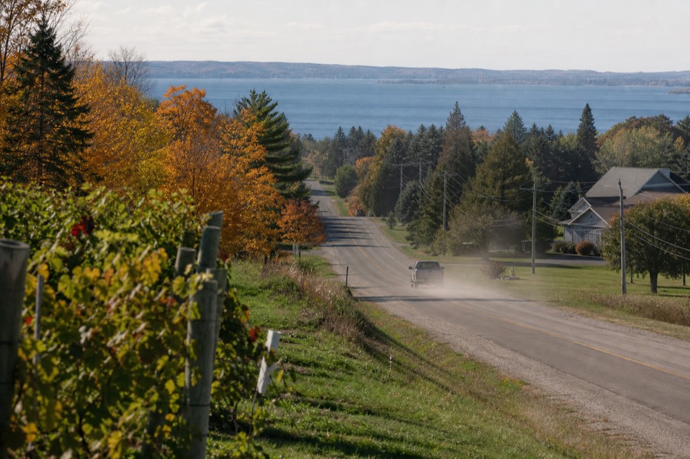 Fall colour along a peninsula road above the bay