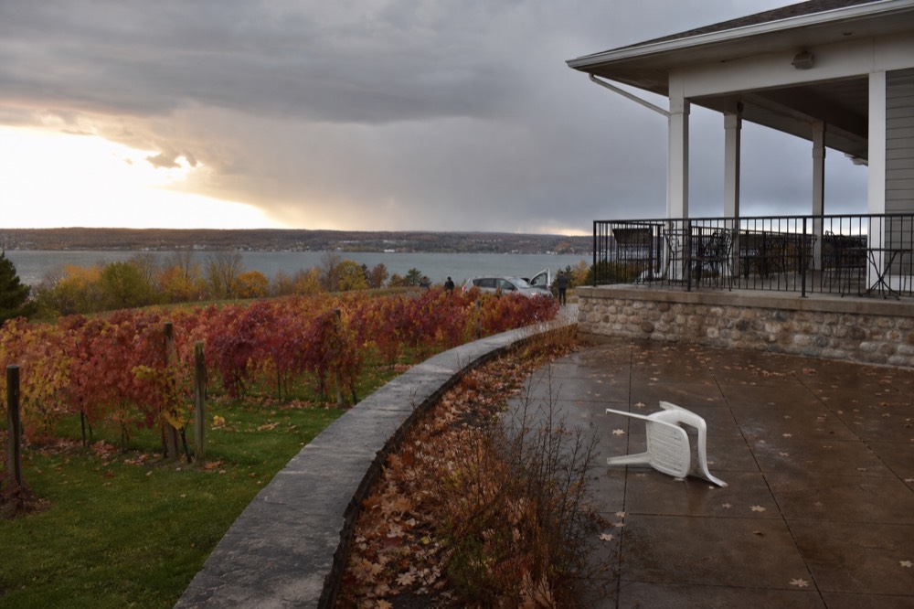 Vineyard rows with red and gold leaves at a northern Michigan winery