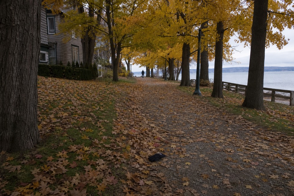 A tree-lined path with autumn colour near the water