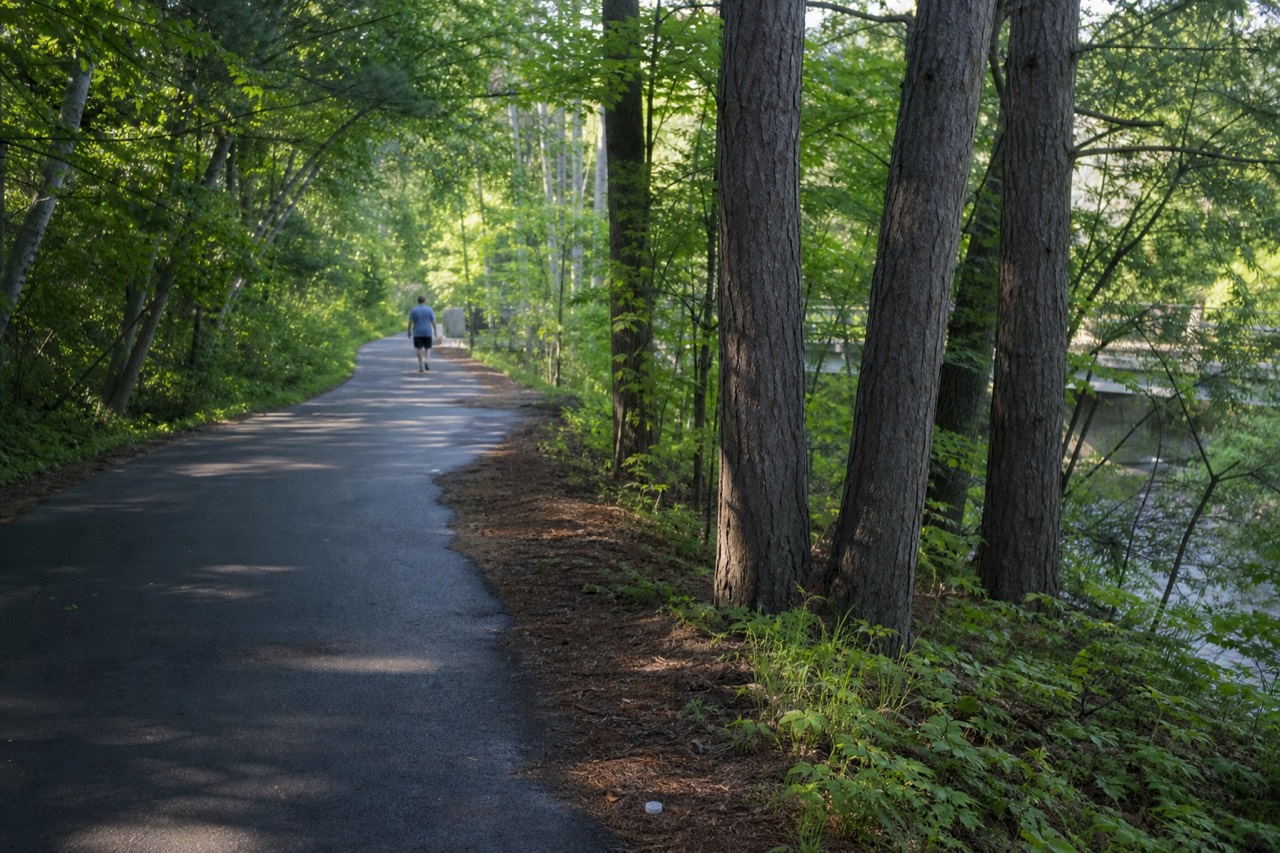 A paved recreation trail through trees near Traverse City