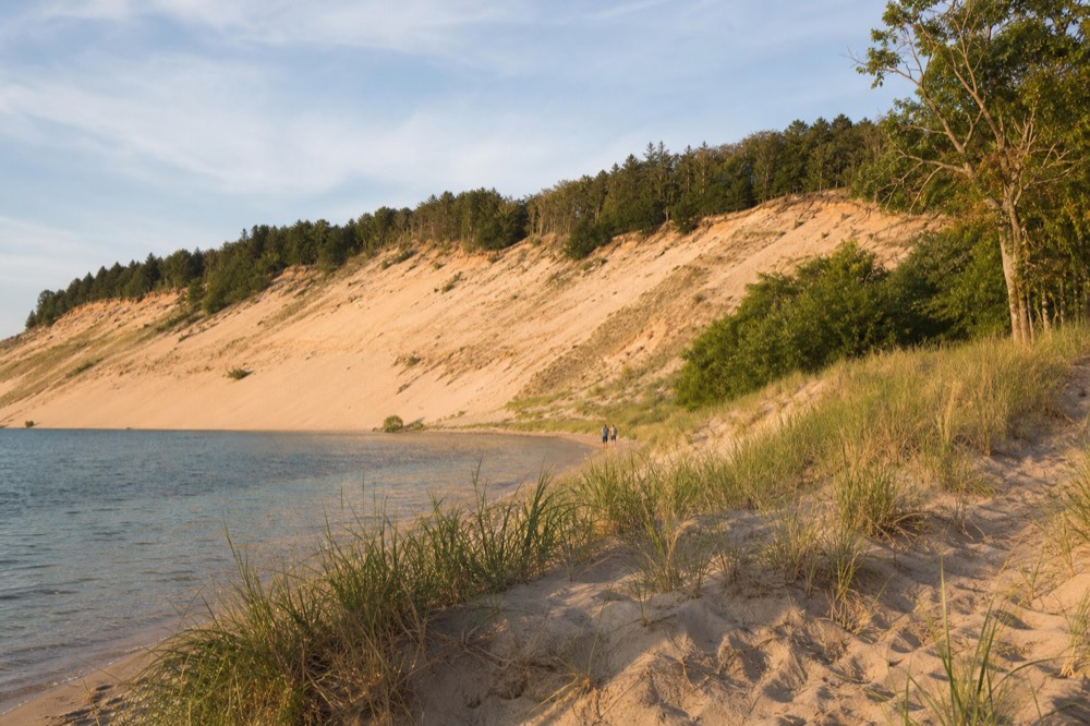 Vineyard rows on a Leelanau Peninsula hillside with a lake beyond the trees