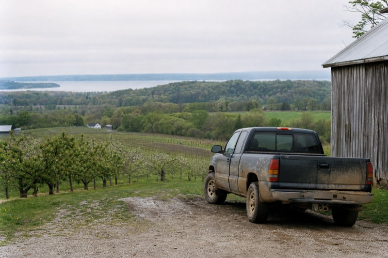 Rolling vineyard and orchard country on the Leelanau Peninsula, with the bay in the distance