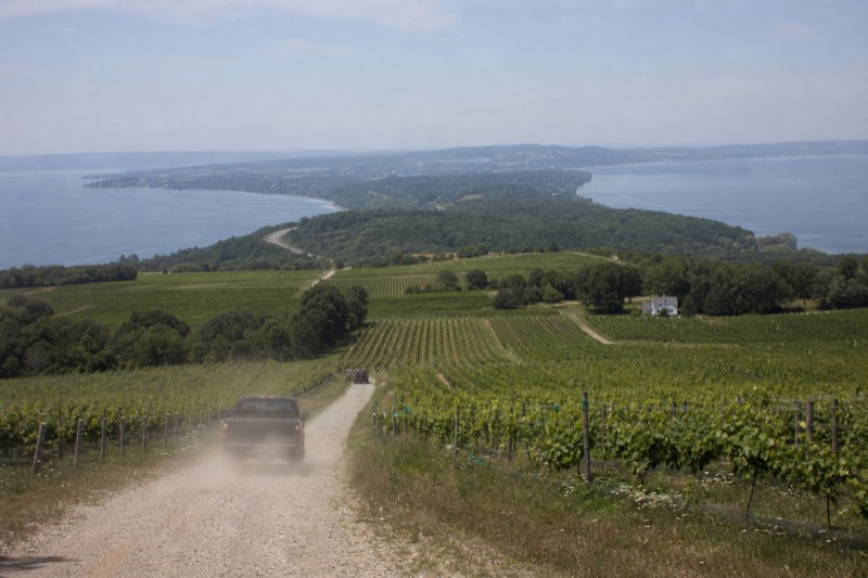 Vineyard rows running down a narrow peninsula ridge toward Grand Traverse Bay on both sides