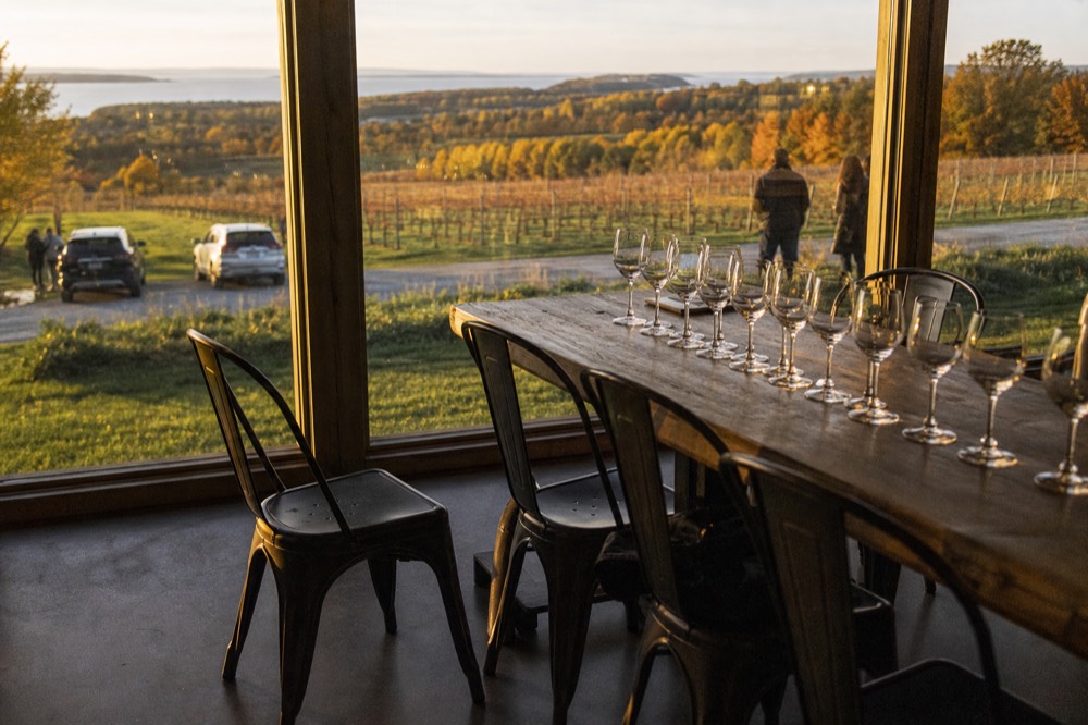 A long tasting room table set with glasses for a group overlooking vineyards