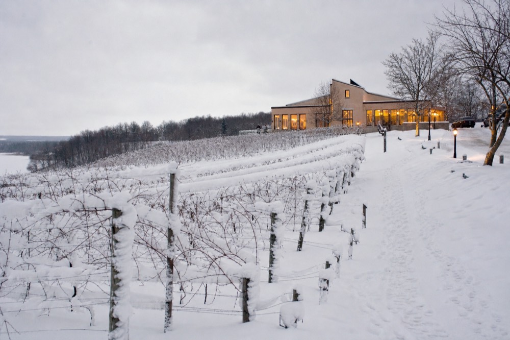 Snow-covered vineyard rows under a pale winter sky, no text, no logos, no people