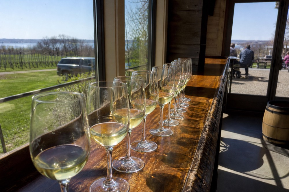 Sunlit tasting room bar with glasses of white wine lined up