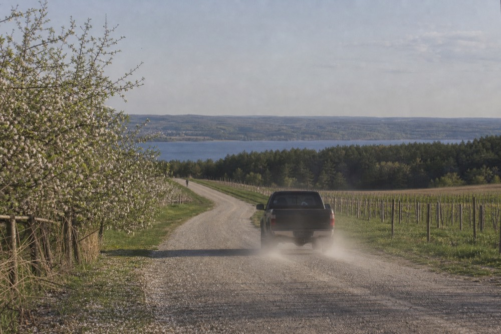A country road curving past a Leelanau vineyard toward the water