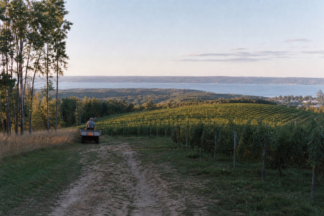Vineyard rows rolling toward Lake Michigan on the Leelanau Peninsula