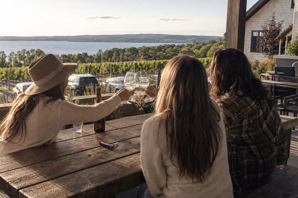 Friends toasting wine glasses at an outdoor tasting table overlooking a vineyard