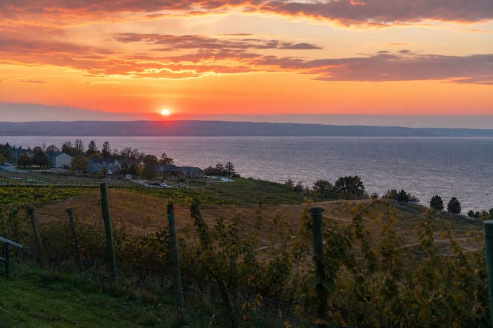 Sun setting over the waters of West Grand Traverse Bay seen from a vineyard slope