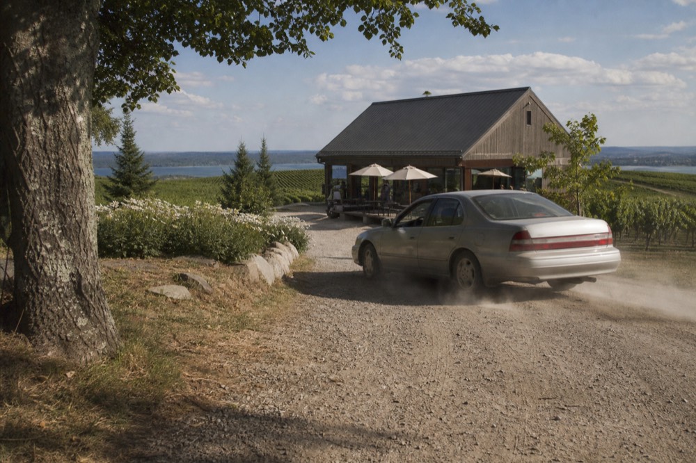 A car pulling into a winery driveway with rows of vines behind the building