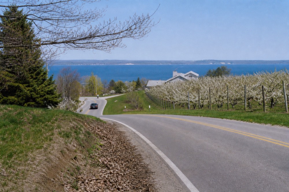A quiet two-lane road curving past orchards toward blue water