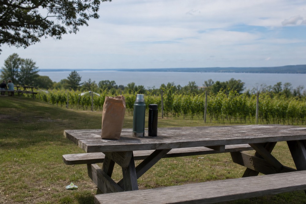 A picnic table beside a vineyard with a packed lunch and a view of water