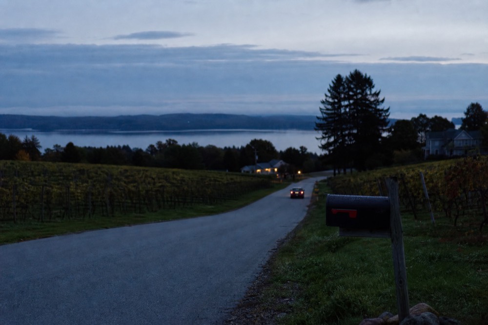 A quiet peninsula road at dusk with vineyards on both sides